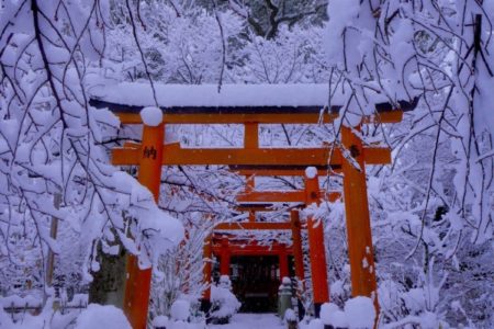 ２０２４年年越し大祓＆２０２５年新春特別祈願祭受付開始