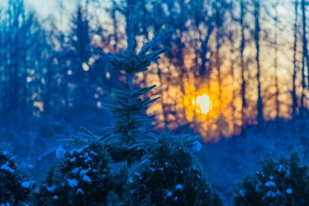 冬至のスピリチュアルな意味｜一陽来復と魂の禊のとき